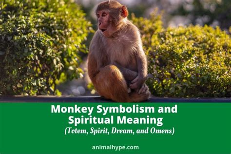 The Significance of Monkeys in Various Cultures