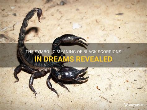 The Significance of Slaying an Ebony Scorpion in your Dream