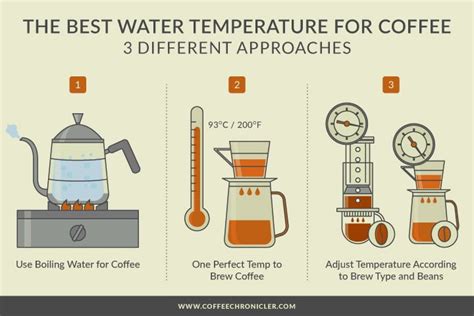 The Significance of Temperature: Discovering the Optimal Brewing Heat