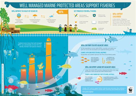 The Significance of Terrestrial Fish for Conservation Initiatives