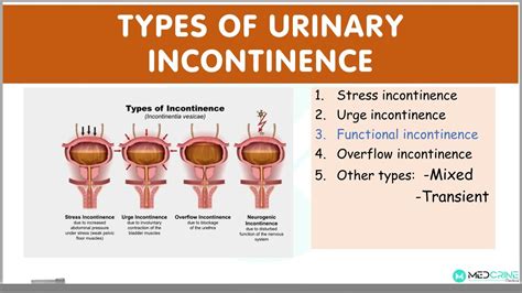 The Significance of Urine in Different Societies