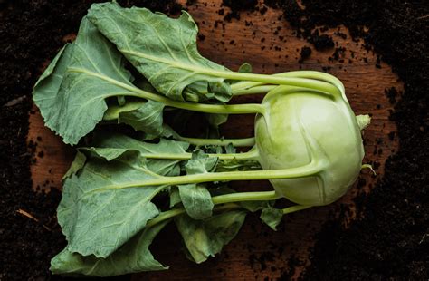 The Significance of Verdant Kohlrabi in One's Fantasies