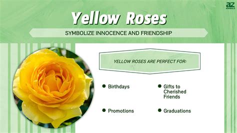 The Significance of Yellow Blooms in Wedding Ceremonies and Celebrations