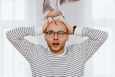 The Significance of a Bird Landing on Your Head