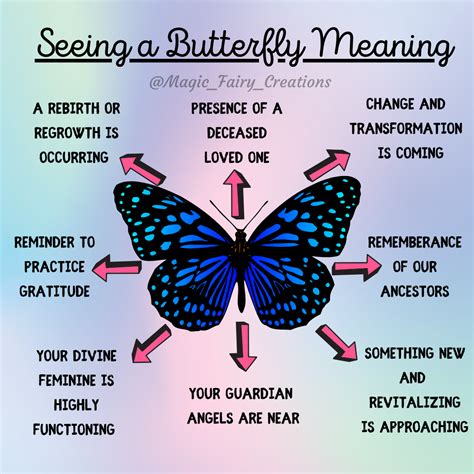 The Significance of a Butterfly's Wings