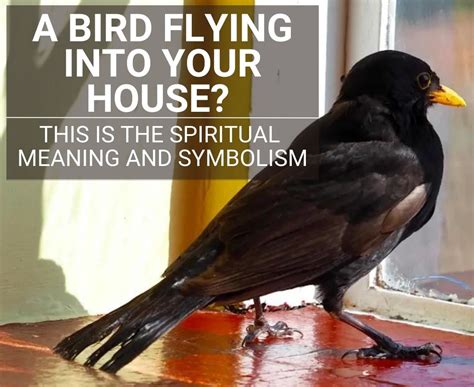 The Significance of a Crow's Entry into a Dwelling