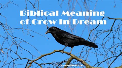 The Significance of a Crow's Perch in Dreams