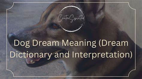 The Significance of a Dual-Toned Canine in Dream Interpretation