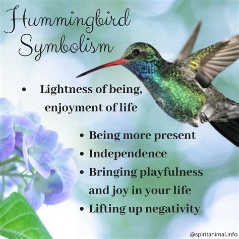 The Significance of a Hummingbird Alighting on You