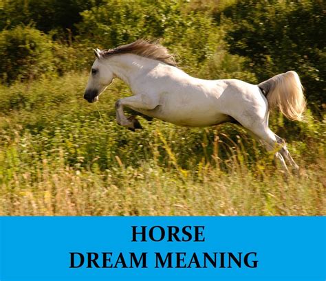 The Significance of an Untamed, Feral Horse in Dream Psychology