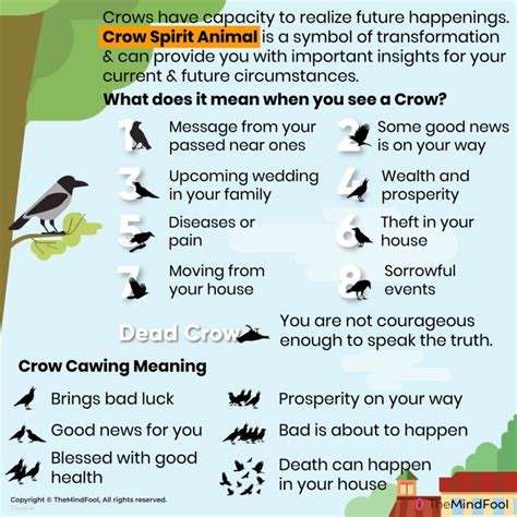 The Significance of the Crow's Abode: Unraveling the Symbolic Significance and Analysis