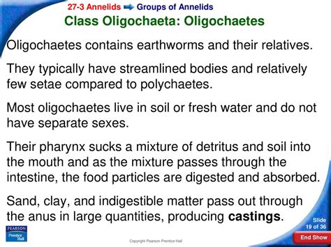 The Significance of the Psychological Urge to Eradicate Soil-Dwelling Oligochaetes