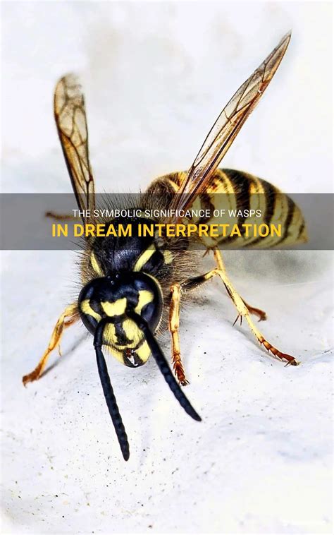 The Significance of the Wasp Symbolism in Dreams