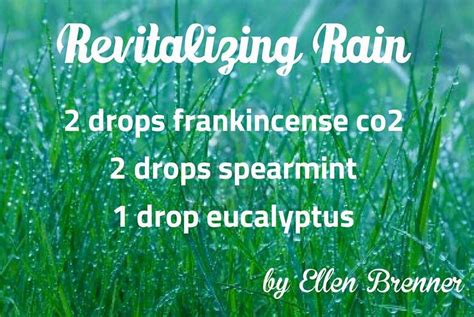 The Soothing Effect of Rain: Revitalizing the Spirit