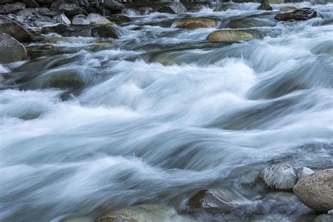 The Soothing Influence of the Natural World: Rediscovering Harmony with a Glistening Stream