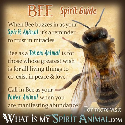 The Spiritual Connection Between Bees and Beehives