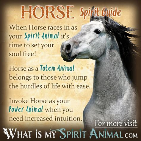 The Spiritual Guidance of the Ebony Equine