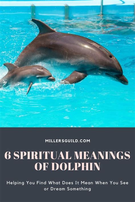 The Spiritual Significance of Dolphins in Dreams