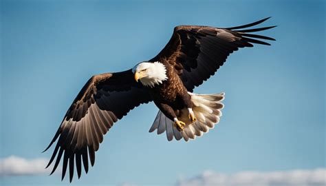 The Splendor of Mighty Bald Eagles: An Empowering Vision Symbol