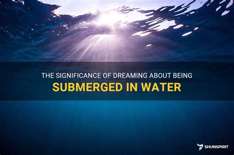 The Submerged Reverie: Veiled Significance and Signification