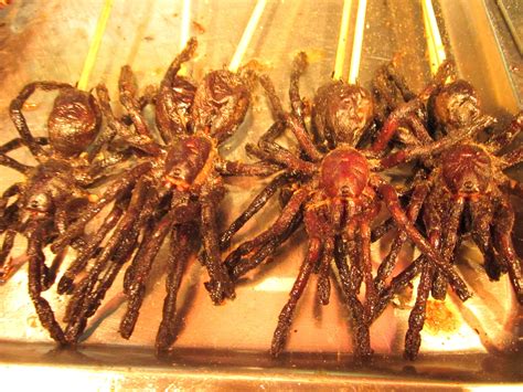 The Surprising Texture and Distinct Flavor Profile of Tarantula Meat