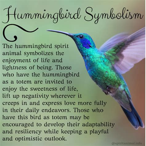 The Symbolic Connection Between Hummingbirds and Love