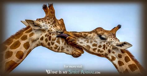 The Symbolic Connection between Giraffes and Heightened Awareness