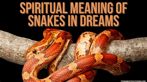 The Symbolic Importance of Serpents in Dreams