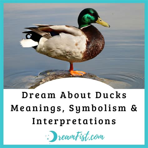 The Symbolic Interpretation of Ducks in Dreams