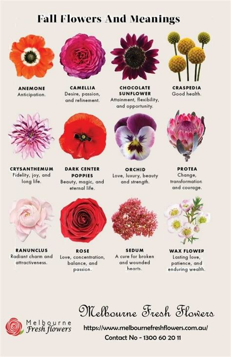 The Symbolic Meaning Behind Floral Hair Ornaments