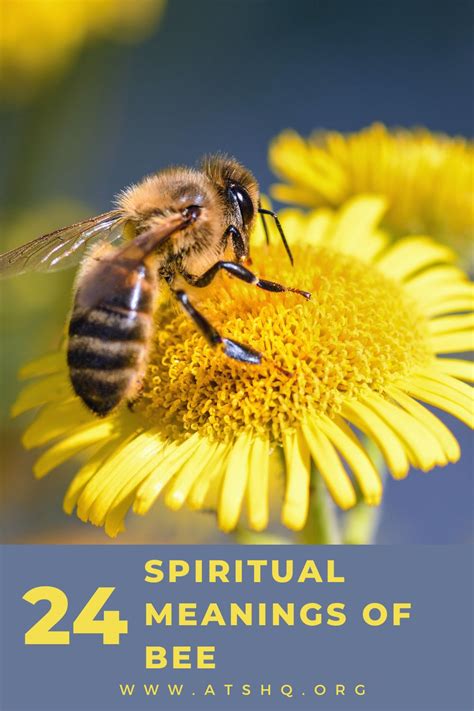 The Symbolic Meaning of Bees