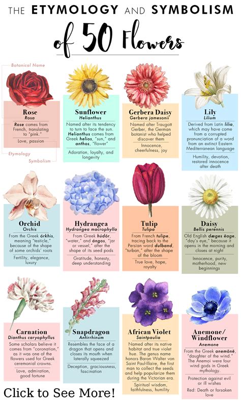 The Symbolic Meaning of Blossoming Flowers