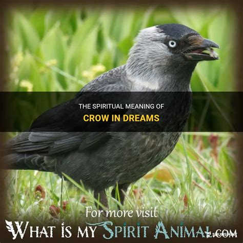 The Symbolic Meaning of Crows in Dreams