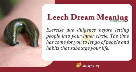 The Symbolic Meaning of Leeches in Dreams