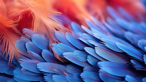 The Symbolic Meaning of Plumage in Dreamscapes