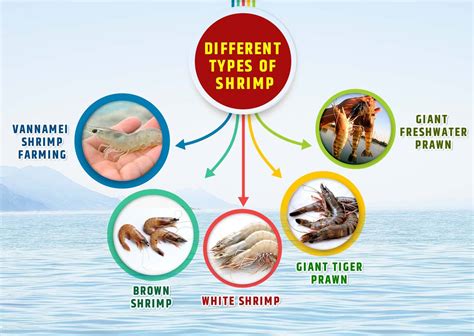 The Symbolic Meaning of Shrimp in Various Cultures