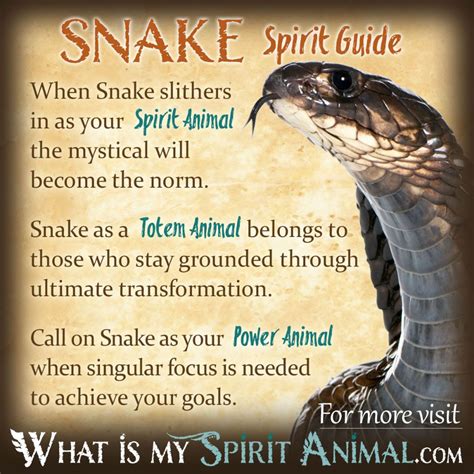 The Symbolic Meaning of a Dark Serpent in One's Dreams