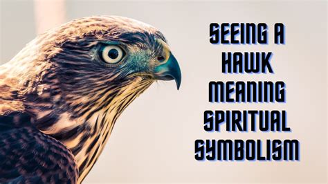 The Symbolic Meaning of the Hawk: Exploring Inner Anxieties and Aspirations