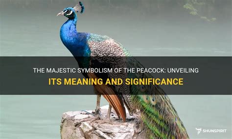 The Symbolic Meaning of the Majestic Plumage