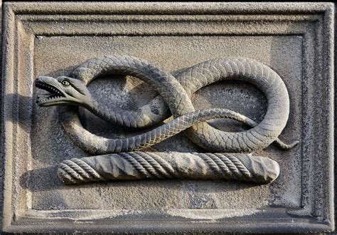 The Symbolic Representation of a Dark Serpent in Various Cultures