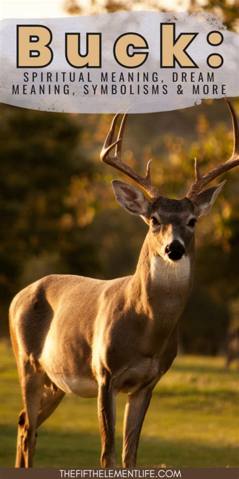 The Symbolic Significance and Enigmatic Nature of Dreaming about an Injured Buck