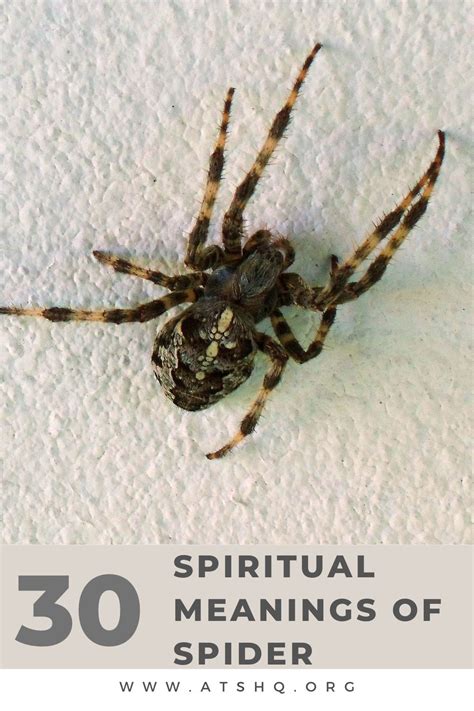 The Symbolic Significance of Black Spiders in Various Cultures