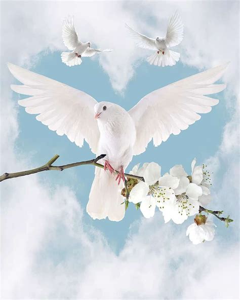 The Symbolic Significance of Doves in Dreams