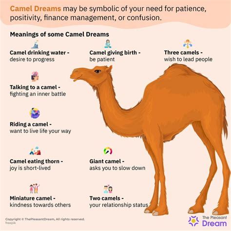 The Symbolic Significance of Dreaming about a Camel Delivering Offspring