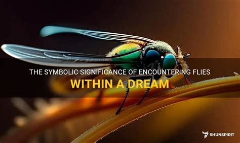 The Symbolic Significance of Flies in Dreams