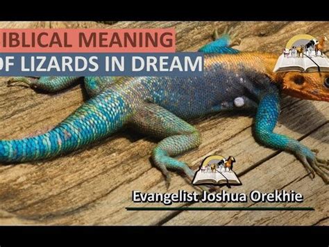 The Symbolic Significance of Lizards: Insights into Personal Metamorphosis