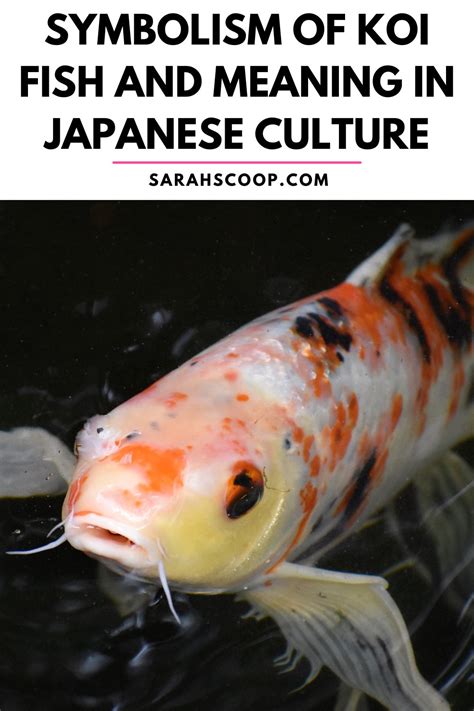 The Symbolic Significance of Majestic Koi Fish: Tales and Legends