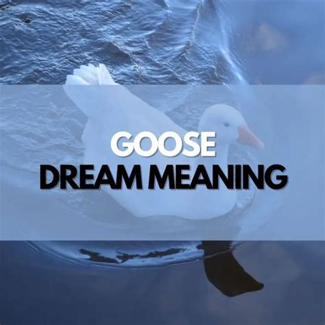 The Symbolic Significance of Slaying a Goose in Dream Imagery