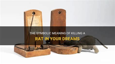 The Symbolic Significance of a Rat's Intense Gaze in Dreams