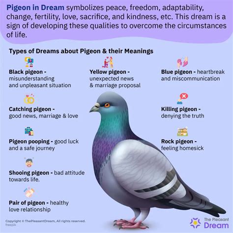 The Symbolic Significance of a Young Pigeon in Dreams